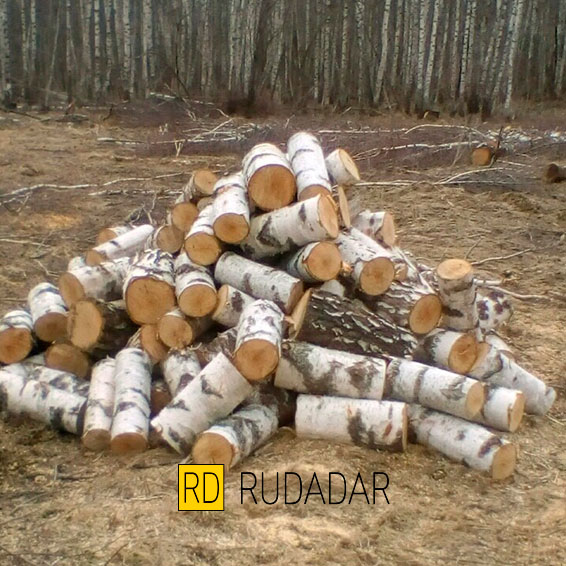 купить дрова в Саратове